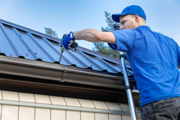 Best Sheet Metal Roofing  in Clive, IA